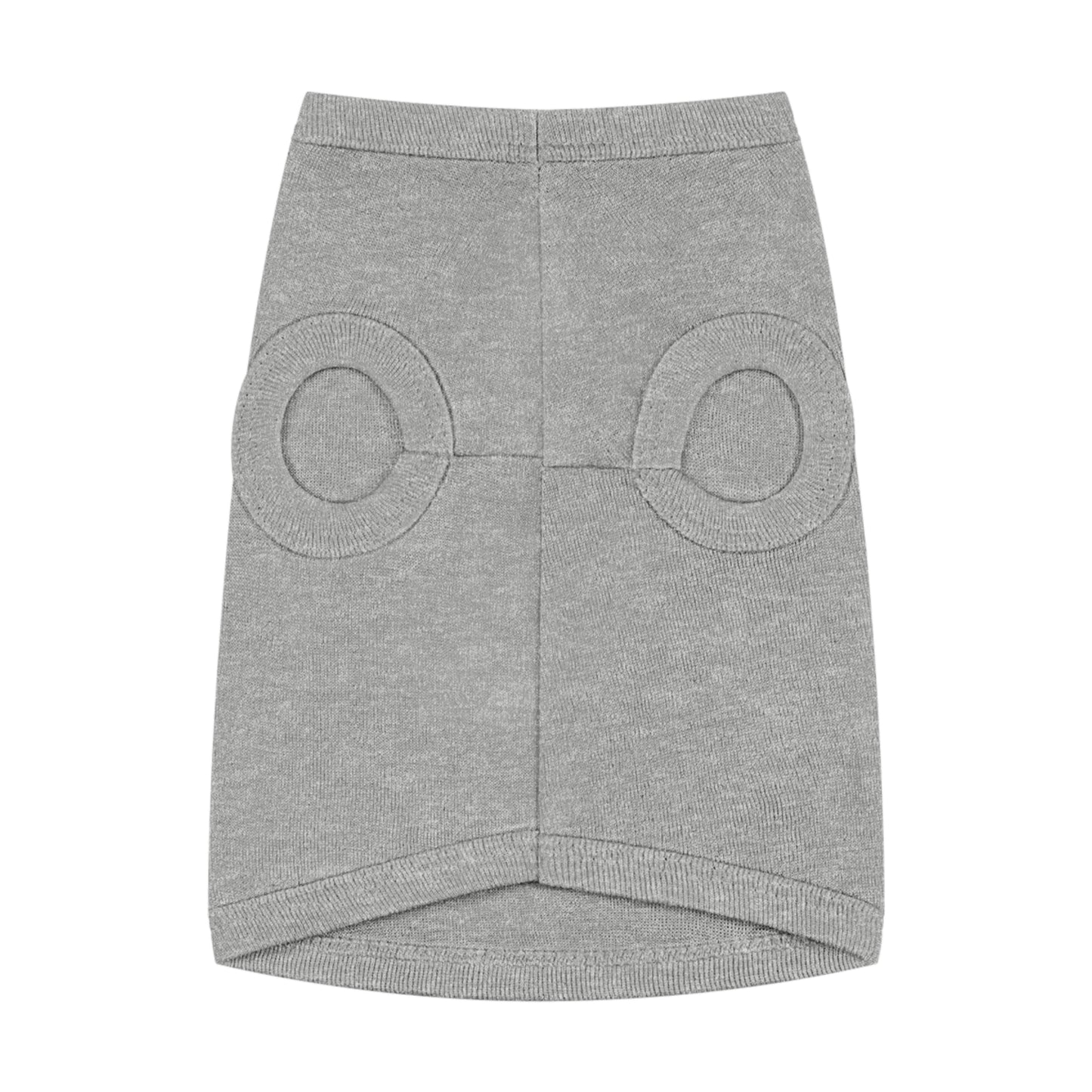 Leo Pup Pet Tank Top – Cute Zodiac Lion Dog Tee for Small Dogs